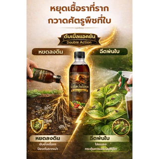 น้ำส้มควันไม้ ขวดเดียวเอาอยู่ ธรรมชาติ 100% (500ml) กำจัดเพลี้ย ไล่แมลง ดับกลิ่นอับ บำรุงพืช แถมฟรีเมล็ดผัก+คู่มือ
