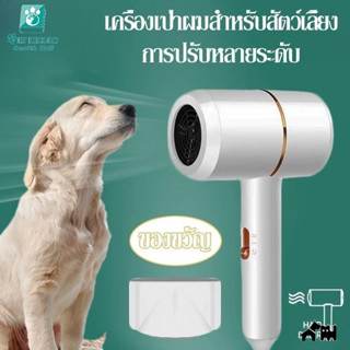 🔥ต่ำเสียงสัตว์เลี้ยงตัวเป่าลูกสุนัขตัวเป่าแมวเสียงต่ำเสียงต่…