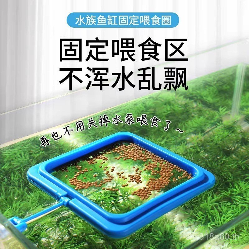 Fish Tank Feeder ลอยแหวนให้อาหารปลาขนาดเล็ก Guppy Feeding Fish Anti-Drift Fish Feeding Feeder RBSH