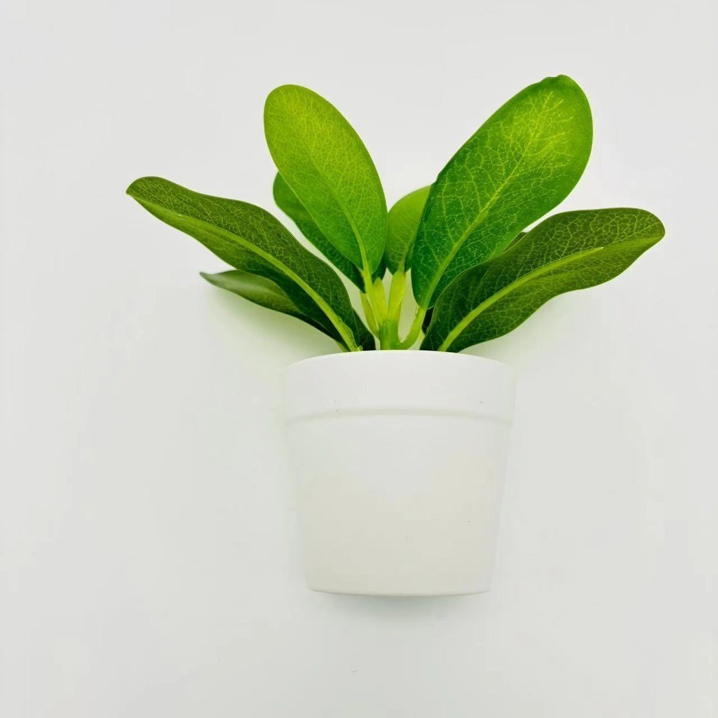 พร้อมส่งจ้า กระถางพร้อมต้นไม้ปลอมมีให้เลือกกว่า 4 แบบประดับโต๊ะทำงานบ้านร้านอาหารสถานที่ต่างๆค่ะ - รูปที่ 3