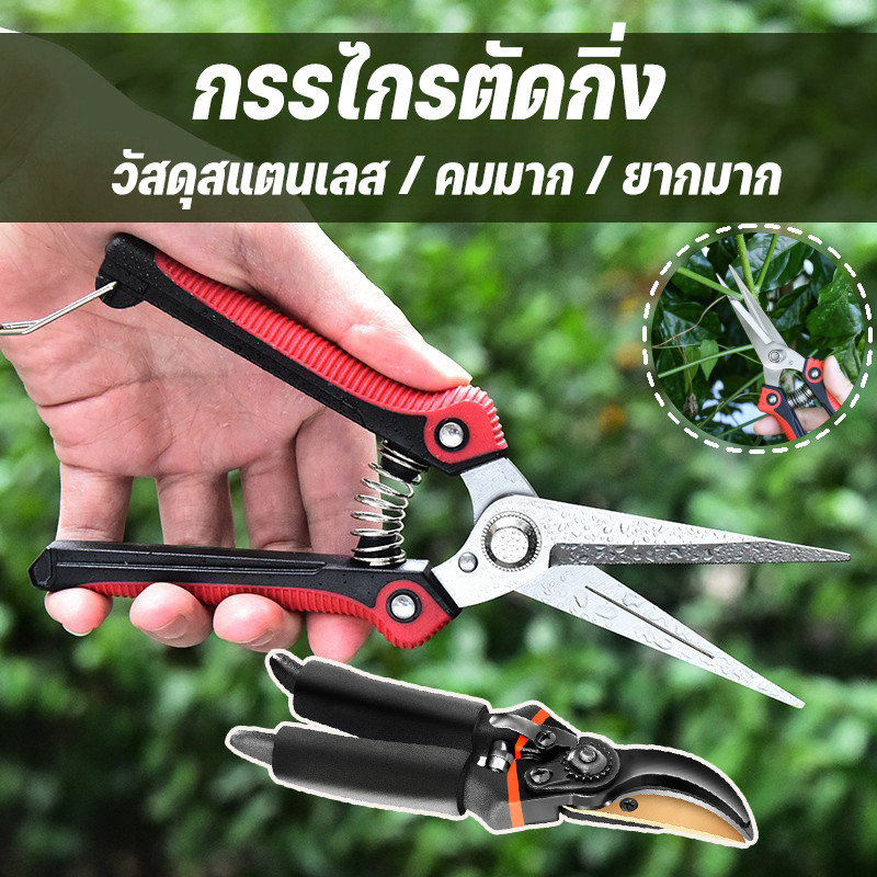 COD กรรไกรตัดกิ่ง คีมตัดกิ่งไม้ เครื่องมือจัดทำสวน เก็บผลไม้ ตกแต่งกิ่ง กรรไกรสแตนเลส รักษาสุขภาพพืช
