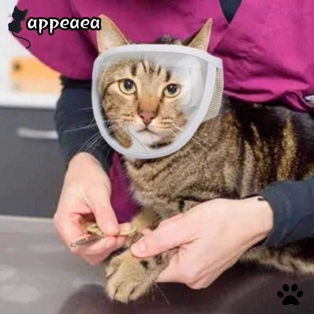 APPEAEA Kitten Muzzles Transparent Anti Bite Pet Product Mouth Guard