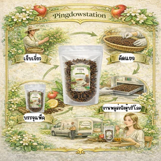 กานพลู (Cloves) ketoทานได้ ใช้ชงชาตัวหอม ใช้เป็นเครื่องปรุงอาหาร บำรุงสุขภาพ