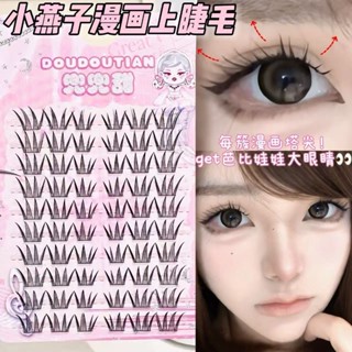 DOUDOUTIAN ขนตาปลอม Mirrored Natural Simulation All-Match