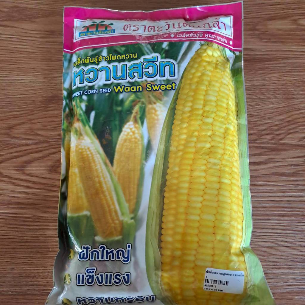 ข้าวโพดหวานลูกผสม หวานสวีท 500g ตราตะวันต้นกล้า เมล็ดพันธ์ุข้าวโพด ข้าวโพดหวาน