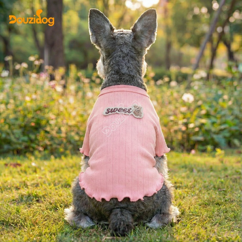 เสื้อผ้าสุนัขฤดูใบไม้ผลิฤดูร้อนน่ารักหมีเสื้อถักสําหรับสุนัขขนาดกลางขนาดเล็กแมว