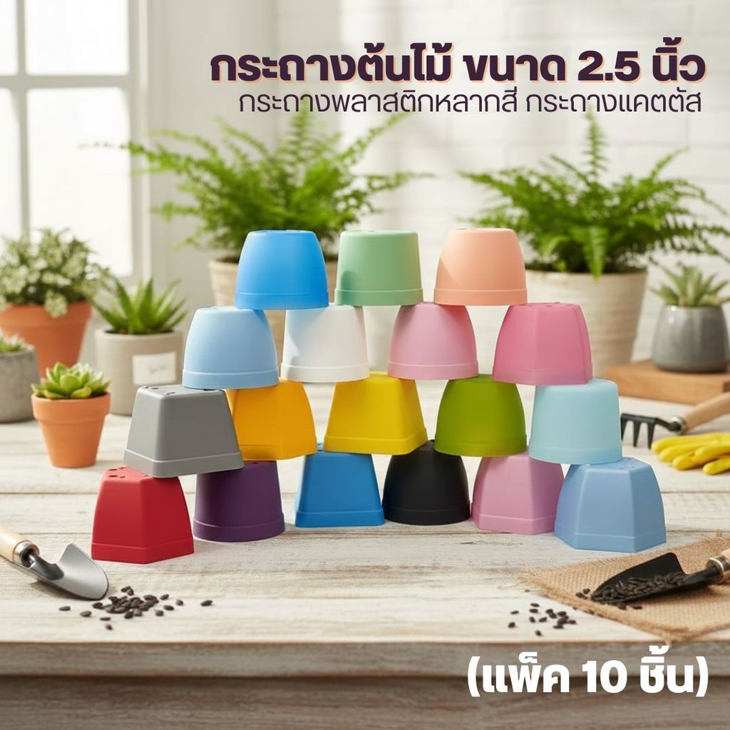 Z2🔥🌵 (แพ็ค 10 ใบ) กระถางต้นไม้ขนาด 2.5 นิ้ว กระถางพลาสติก กระถางแคตตัส หลากสี 🌵 ❤️by innotrend❤️