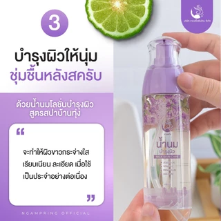 [เซตคู่สปาผิว] สครับตัว 1 + น้ำนมบำรุง 1 แบรนด์งามพริ้ง สครับสปาบ้านทุ่ง ขัดผิวขาวกระจ่างใส ลดรอยแตกลาย