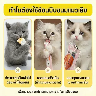 [โปร 1 แถม 2] ช้อนบีบขนมแมวเลีย 3-in-1 บีบเกลี้ยงไม่เหลือซาก มือไม่เลอะ ลายน้องแมวสุดน่ารัก (ได้ครบ 3 สี)