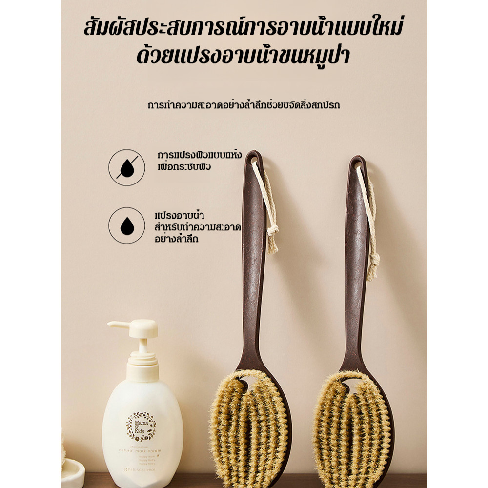 【ขัดผิวธรรมชาติ 2in1/ด้ามจับสบาย】แปรงอาบน้ำขนหมูป่าและใยมะพร้าว SL ด้ามยาว Premium แปรงทำความสะอาดผิว/ขจัดเซลล์ผิวเก่า/อุปกรณ์ดูแลผิว Körperpflege
