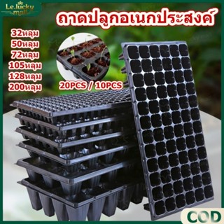 ถาดเพาะกล้า ถาดเพาะเมล็ด ถาดเพาะชำ ถาดเพาะผัก ต้นกล้า ต้นอ่อ…
