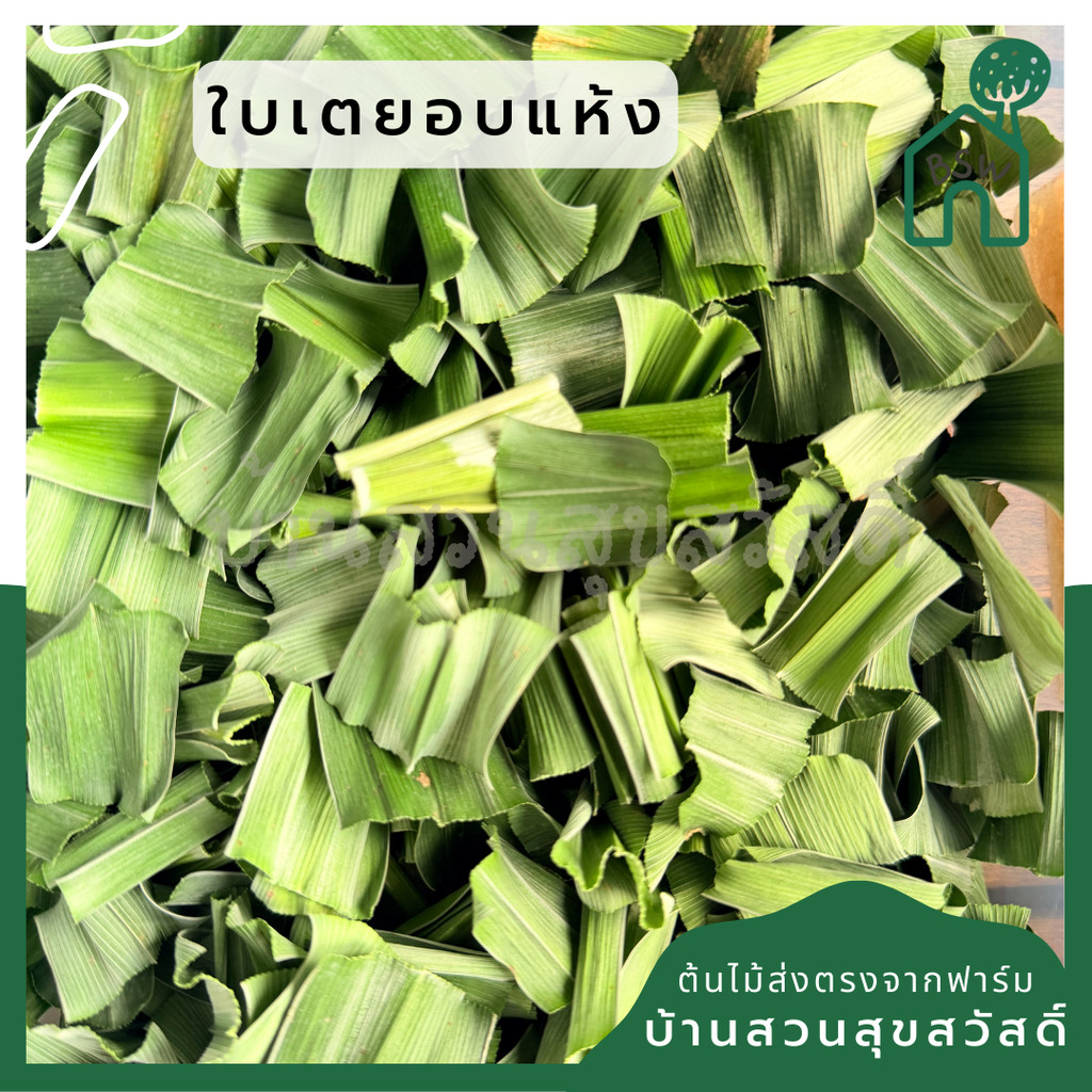 มุมมอง 6