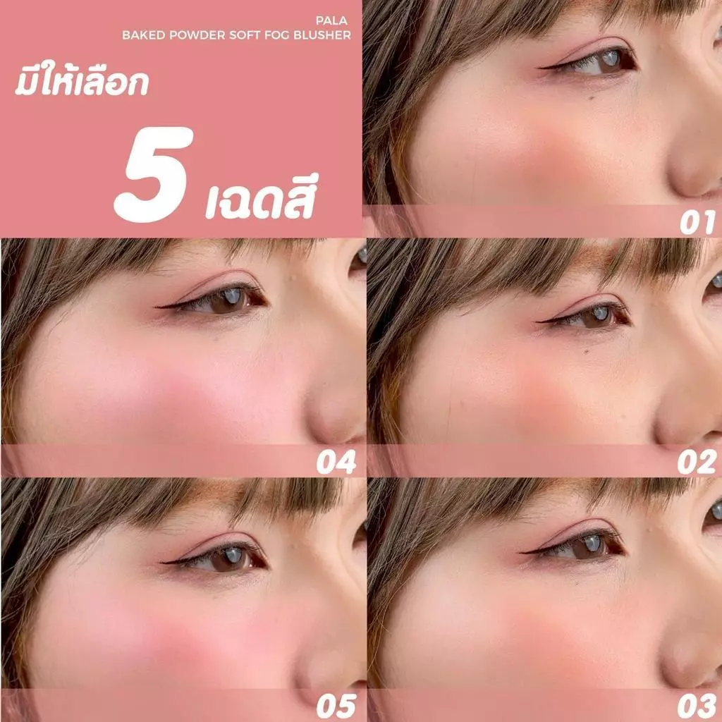 PALA Baked Powder Soft Fog Blusher บลัชออน 8.5g thumbnail 4