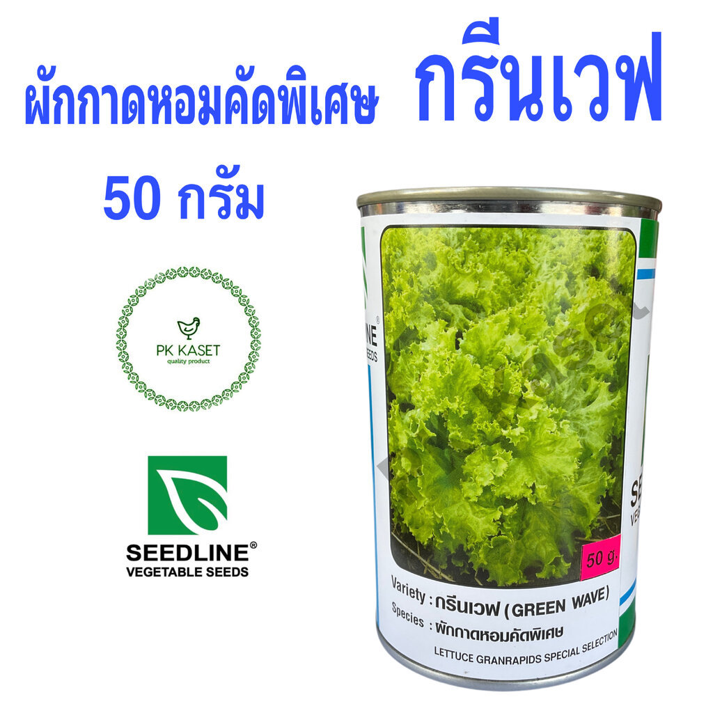 เมล็ดผักกาดหอมคัดพิเศษ ผักสลัด กรีนเวฟ ขนาด 50 g ตราซีดไลน์ กระป๋อง