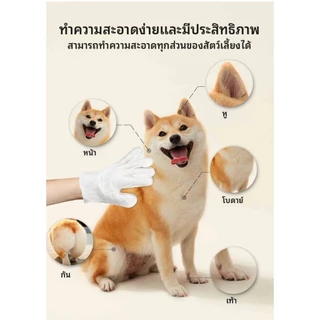 ถุงมืออาบน้ำสัตว์เลี้ยง ทิชชู่เปียก 6 ชิ้น พกพาสะดวก ใช้ได้ทั้งแมวและหมา สะอาดทันใจ