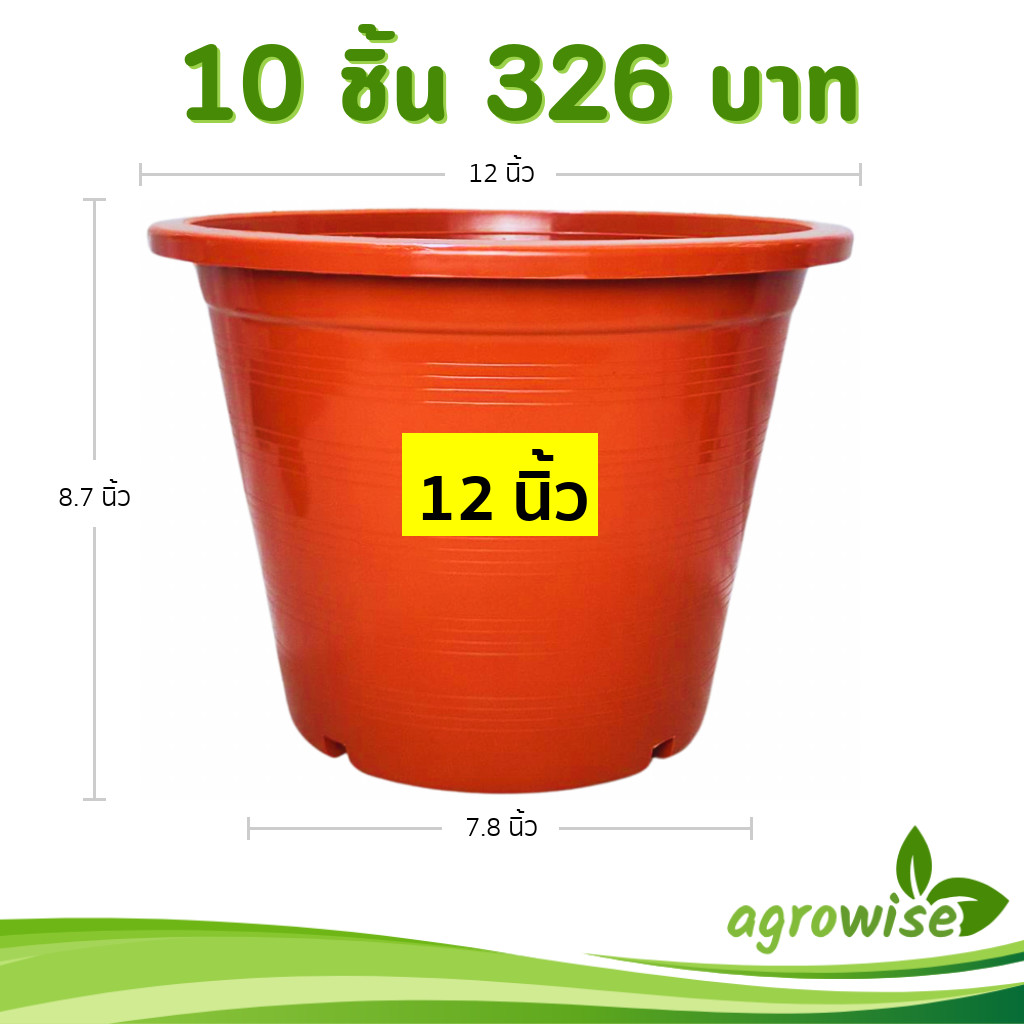 กระถาง กระถางต้นไม้ กระถางขาว เบอร์ 12 นิ้ว สีขาว 10 ใบ ชิ้น ยกมัด - รูปที่ 6