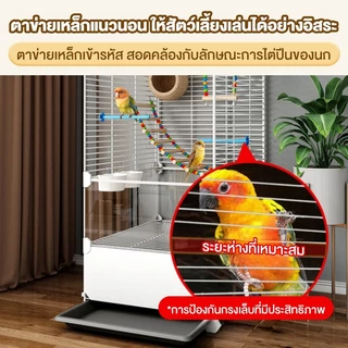 กรงนก กรงนกแก้ว กรงนกเหลี่ยม กรงนกราคาถูกๆ กรงนกหงส์หยก กรงนกแก้วฟอพัส กรงนกสวยๆ แขวนได้กรงนก