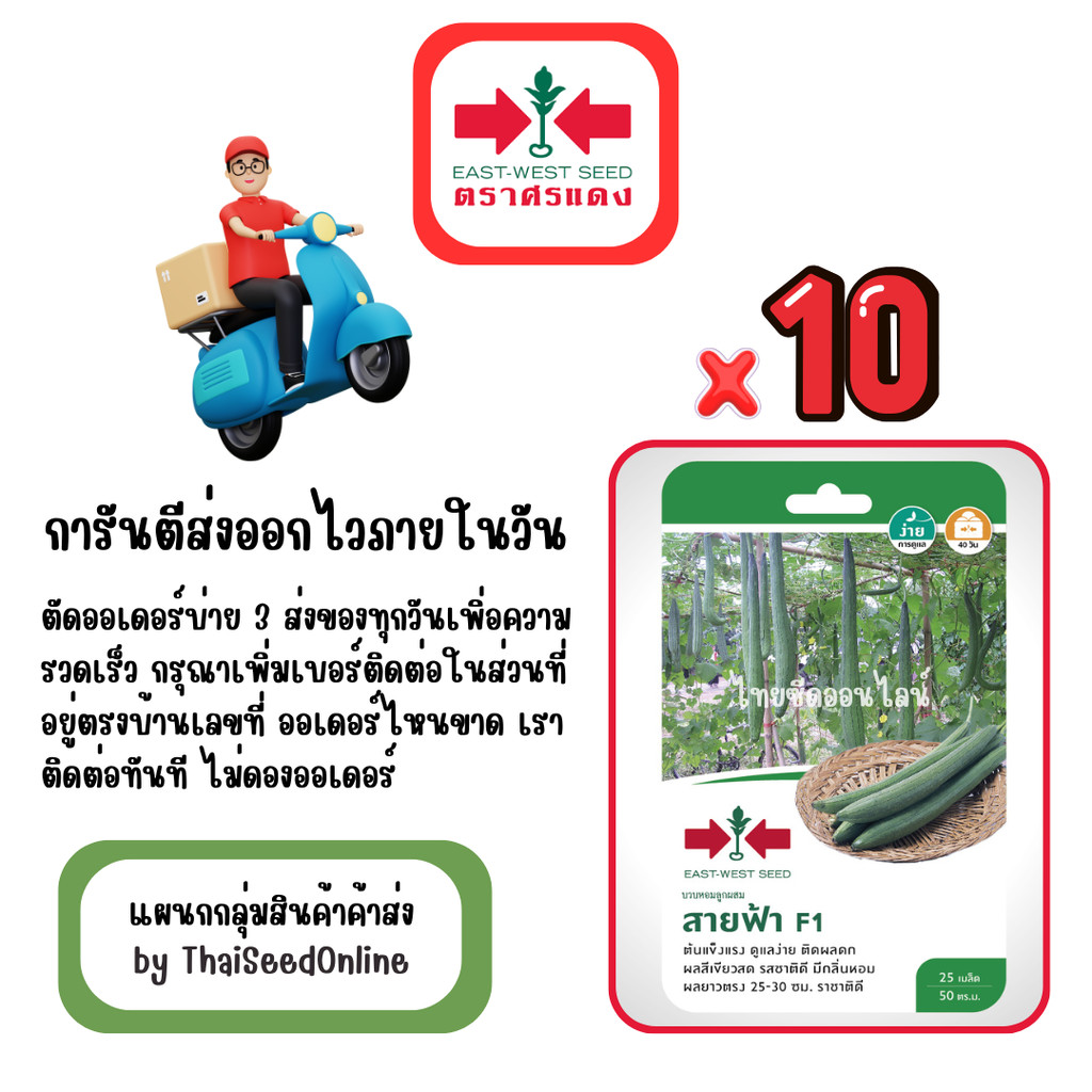 GG x 10 เมล็ดผักซองศรแดง สายฟ้า บวบหอม ลูกยาว สินค้ายกแพ็ค