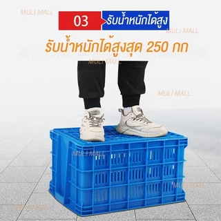 Tidy ลังพลาสติกโปร่ง กล่องเก็บของ ตะกร้าส่งพัสดุ รับน้ำหนัก 250กก ขนาด 866042cm (ล้อแยกจำหน่าย)