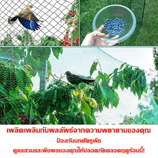 ตาข่าย อวนล้อมไก่ ตาข่ายกันนก ตะข่ายล้อมไก่ ตาข่ายล้อมไก่สูง ตาข่ายไนล่อน ตาข่ายกั้นไก่ อเนกประสงค์