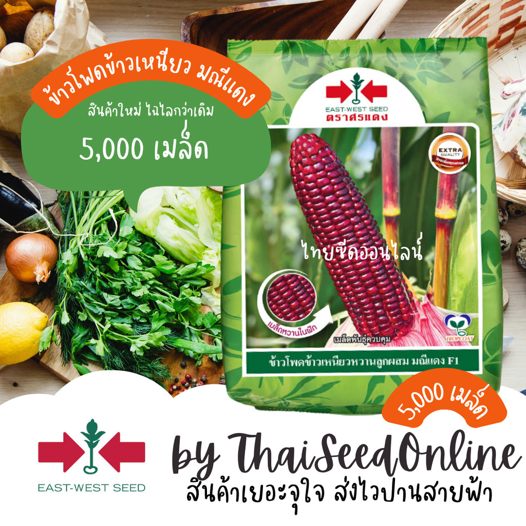 Sorndang(ศรแดง) EWCOM ถุงบรรจุ 5000 เมล็ด เมล็ดพันธุ์ข้าวโพดข้าวเหนียวหวานสีม่วงล้วน มณีแดง ตราศรแดง