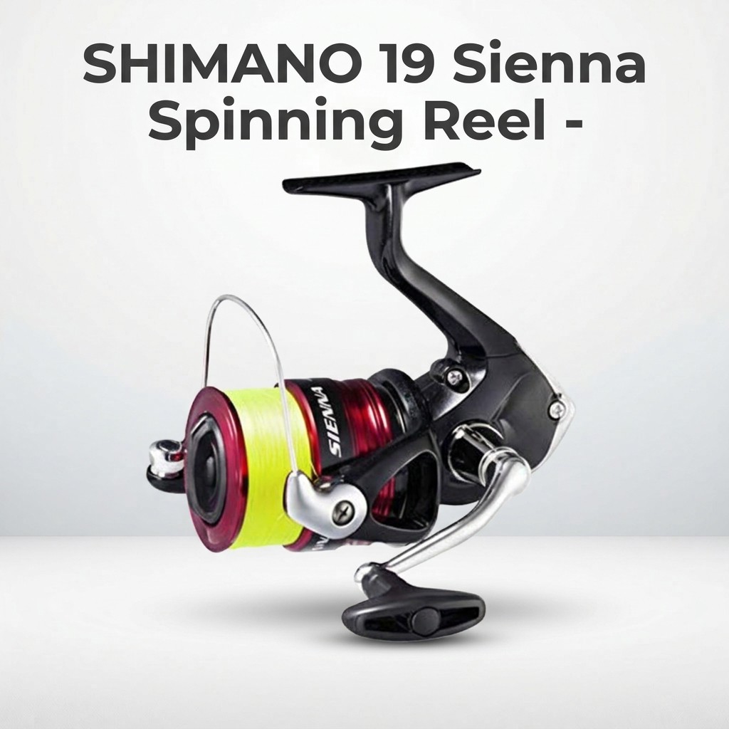 รอกสปินนิ่ง SHIMANO 19 Sienna สำหรับตกปลา | SHIMANO 19 Sienna Spinning Reel