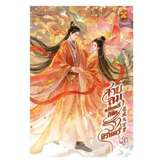 นายอินทร์ หนังสือ สายลมหมื่นหลี่ ลิขิตรักนิรันดร์ เล่ม 3