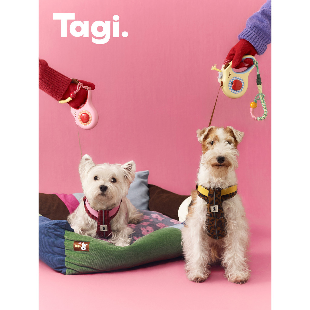 Tagi. Signal Overalls Pet Harness Pet Retractable Leash Wrist Strap สายจูงสุนัขแบบหดได้ลายแอปเปิ้ล