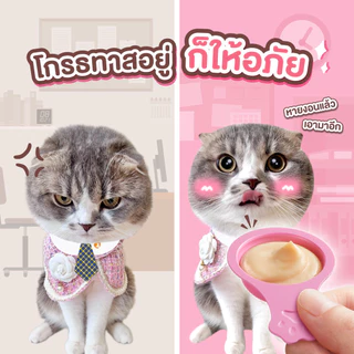 [6 แพ็ค] Ginno Spoon ขนมแมวเลียกินโนะ รูปแบบช้อนป้อน ป้อนง่าย ไม่เลอะมือ ไม่เติมเกลือ ขนาด 40-56 กรัม