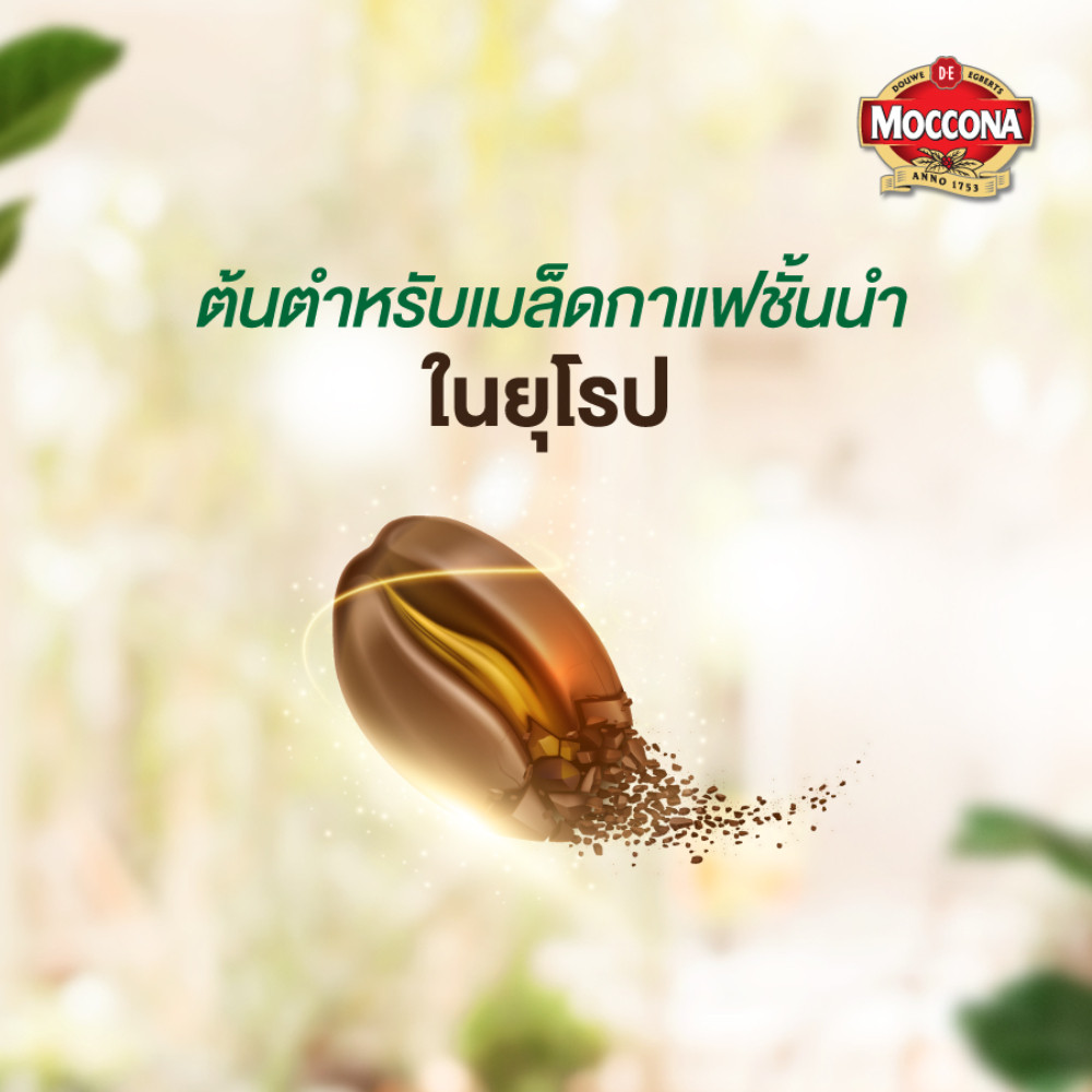 รูปภาพ 4