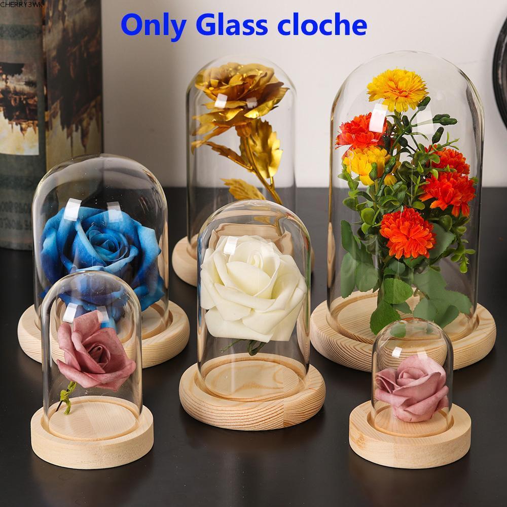 19VJKEPSHOP แก้วโคลเช่แจกันแก้วขวดโปร่งใส Terrarium โต๊ะ Jar ไฟนางฟ้าดอกไม้กล่องเก็บ