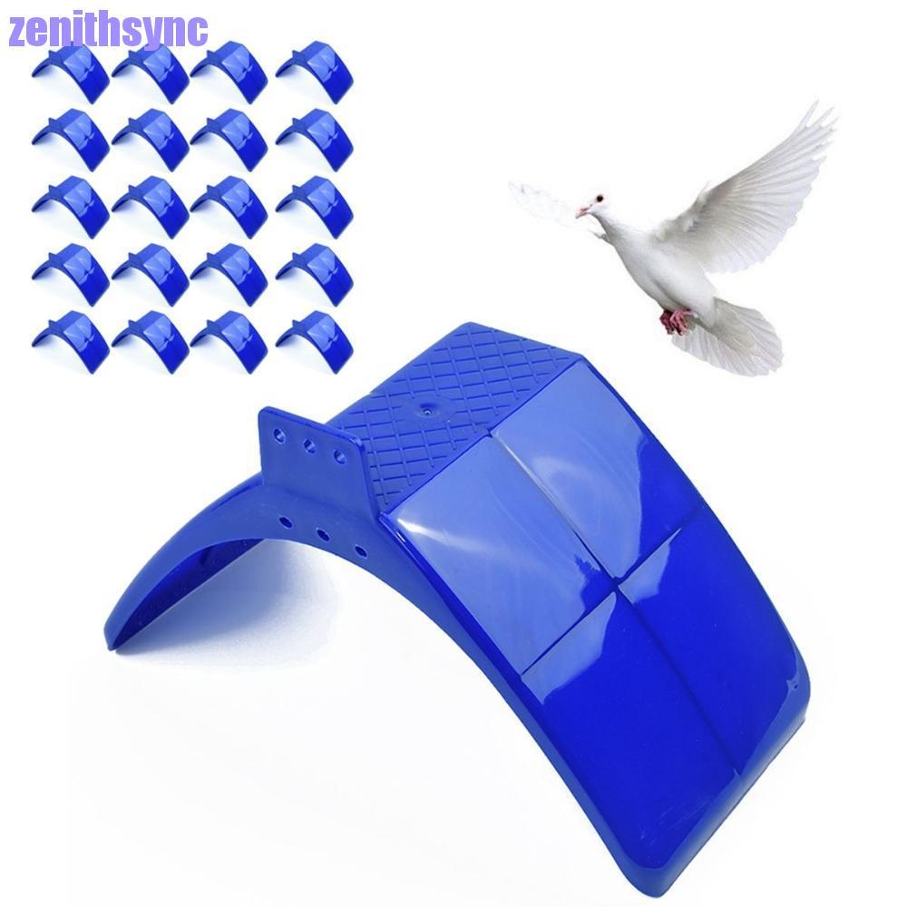 ZENITHSYNC Bird Stand Dwelling Durable Frame Roost Holder Perches