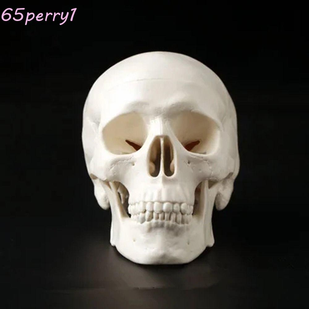 PERRY1 Skull Model, โมเดลหัวมนุษย์ศึกษาแบบถอดได้, 92x99x71mm Skull Cap Resin Mini Anatomical Head Sk