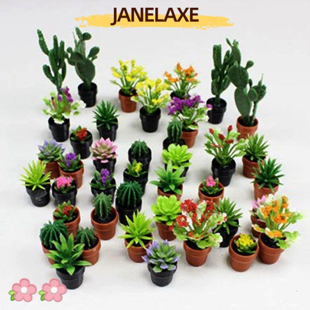 JANELAXE932JN 3 ชิ้น Dollhouse Miniature กระถางต้นไม้, 1:12 Multistyles สีเขียวใบกระถางต้นไม้, คุณภา