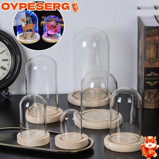 OYPESERG แก้ว Clche Fairy ไฟตกแต่งบ้านขวดใสแจกันแก้ว Jar ฐาน…