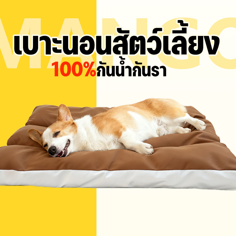 Mango พร้อมส่ง เบาะสัตว์เลี้ยง กันน้ำกันรา100% Waterproof Pet Bed ​ ที่นอนหมา ที่นอนเเมว ที่นอนสุนัข เบาะหมาใหญ่