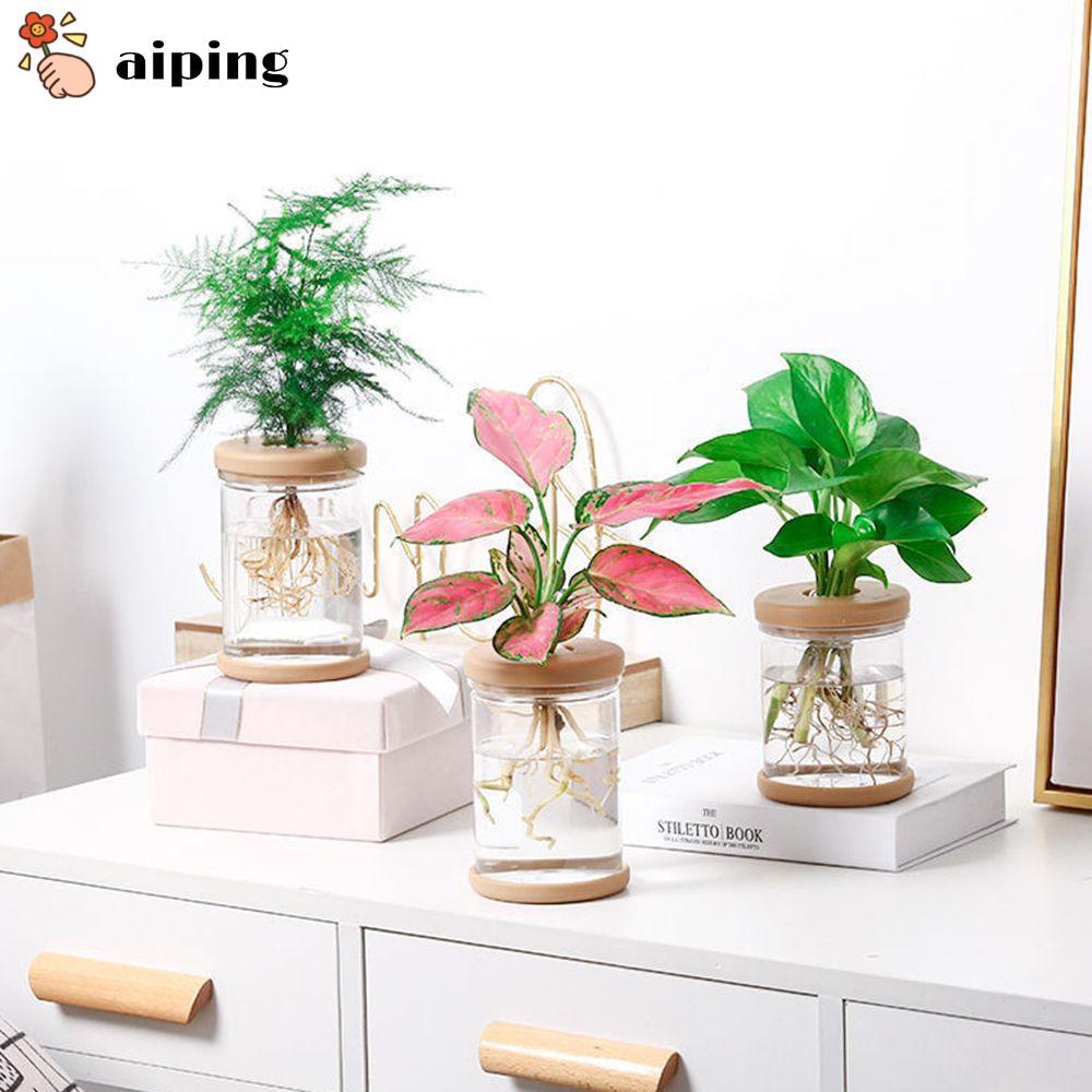 Aiping แจกันดอกไม้ไฮโดรโปนิก เรียบง่าย สําหรับตกแต่งบ้าน