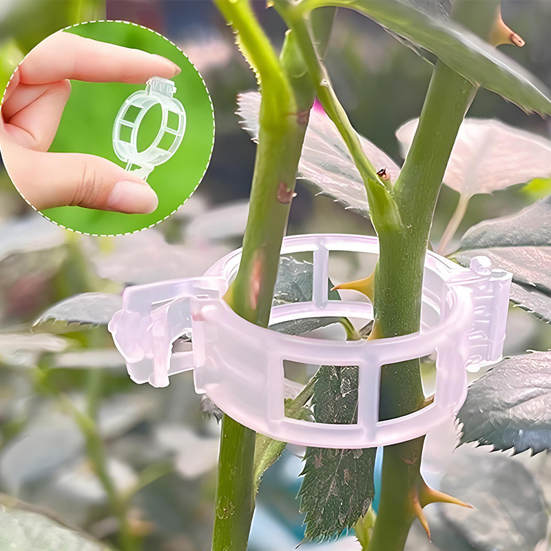 Fu Vine Fixing Clip Binding Vine Clip Fixing Buckle Green Plant Clip Vine Plant Pepper Eggplant Hold