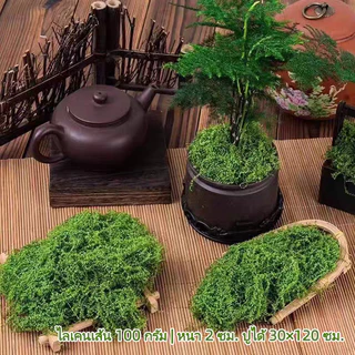【พร้อมส่ง】มอสเทียม 100 กรัม - สำหรับตกแต่งจุลภูมิ DIY บอนไซ สวนหิน และฉากตกแต่ง