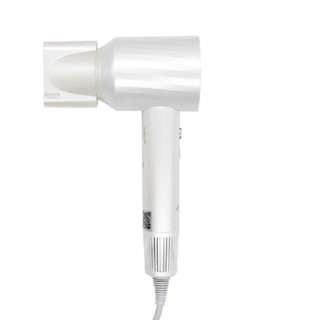 ANITECH ไดร์เป่าผม 1600 วัตต์ 3 ระดับ สีขาว