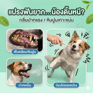 น้ำยาดับกลิ่นปาก น้ำยาบ้วนปาก หมาแมว ผสมน้ำกินได้ ไม่ต้องแปรงฟัน ลดคราบเหลือง ลดหินปูน ลมหายใจสดชื่น ธรรมชาติ ปลอดภัย 300ml