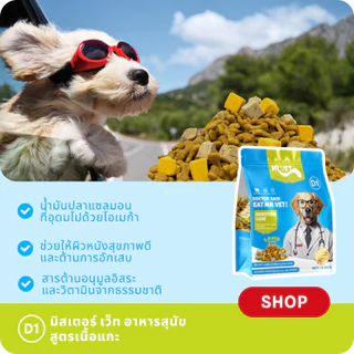 MrVet อาหารสุนัข D1 Holistic Premium 1.4kg สูตรเนื้อแกะ ดูแลระบบย่อยอาหาร เหมาะสำหรับทุกช่วงวัย