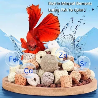15 ใน 1 หินกรองตู้ปลา/หินกรอง เหมาะสําหรับตู้ปลาและบ่อ โครงสร้างเยื่อหุ้มสมอง ช่วยดูดซับกลิ่น ทําน้ําสะอาด ช่วยดูดซับกลิ่น ฟอกอากาศและน้ํา ลดมลพิษ