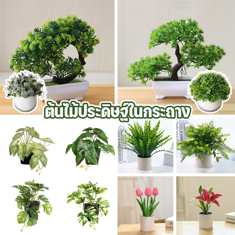 พร้อมส่ง ต้นไม้ประดิษฐ์ในกระถาง สมจริงมาก ทิวลิป ต้นสนเมฆ เครื่องประดับดอกไม้ การตกแต่งภายใน