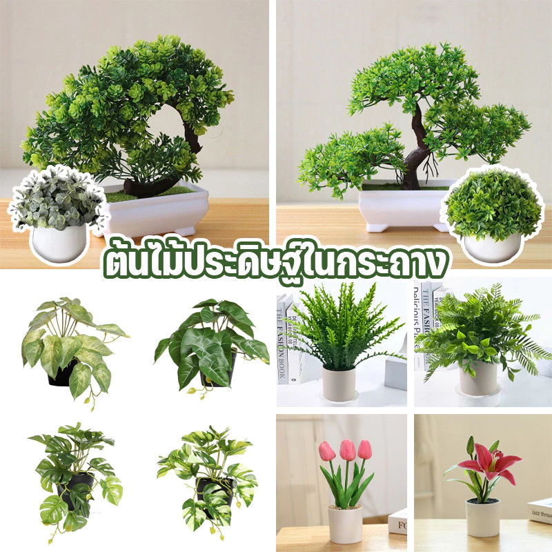พร้อมส่ง ต้นไม้ประดิษฐ์ในกระถาง สมจริงมาก ทิวลิป ต้นสนเมฆ เครื่องประดับดอกไม้ การตกแต่งภายใน