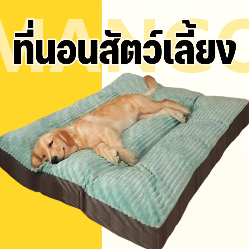 Mango ที่นอนสัตว์เลี้ยง เบาะหมาใหญ่ S/M/L/XL นุ่ม สบาย ที่นอนแมว 4 ขนาด ที่นอนสัตว์เลี้ย