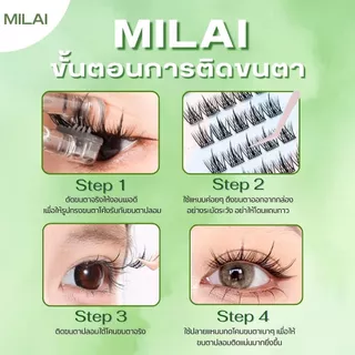 【G08 เสือสาวเกาหลี】MILAI ขนตาปลอมกาวในตัว ขนตาฟุ้งๆ ใส่แล้วตาโตธรรมชาติ เบาสบาย ไม่ระคายเคือง