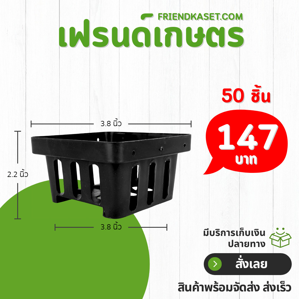 กระถางต้นไม้ กระถางกล้วยไม้ กระถางแขวน กลม 10 11 นิ้ว สีดำ 10 25 50 ใบ ชิ้น อัน - รูปที่ 5