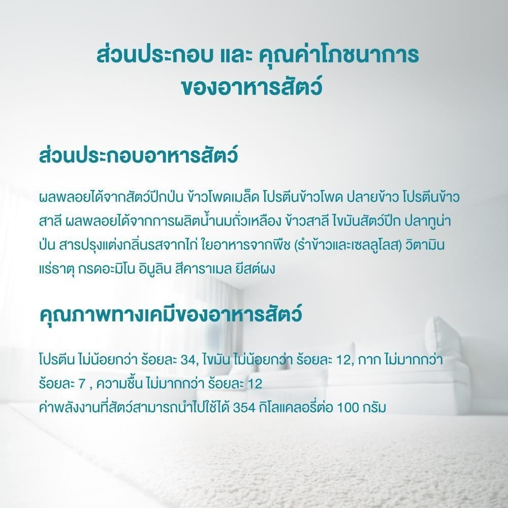 รูปภาพ 8