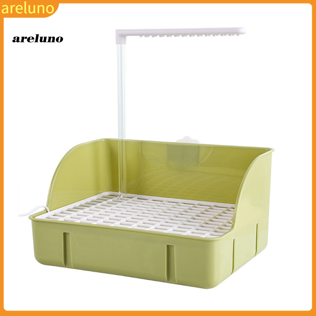 อิลูโนะ|  Automatic Birds Bath Feathered Friend Bath Solution Automatic Bird Bath with Pump – Parrot